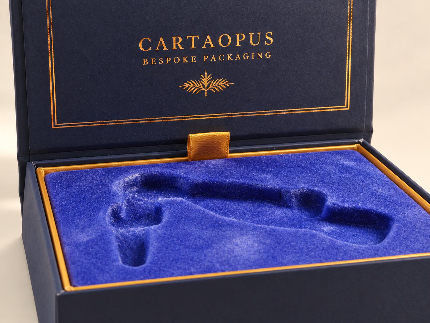 Close view of the fitted flocked insert inside the box.