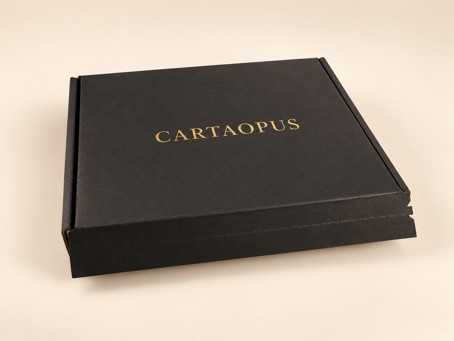 Black corrugated mailer box shown closed with gold CartaOpus branding.