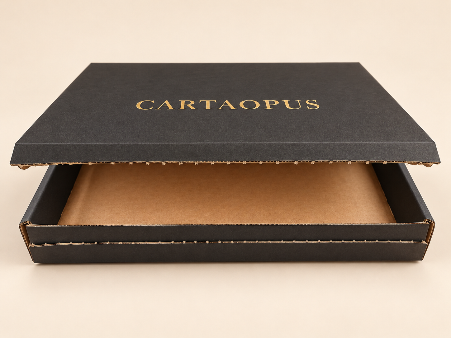 Black corrugated mailer box shown partly open from an angle.